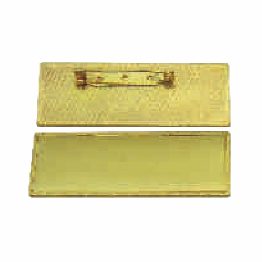 Pin
